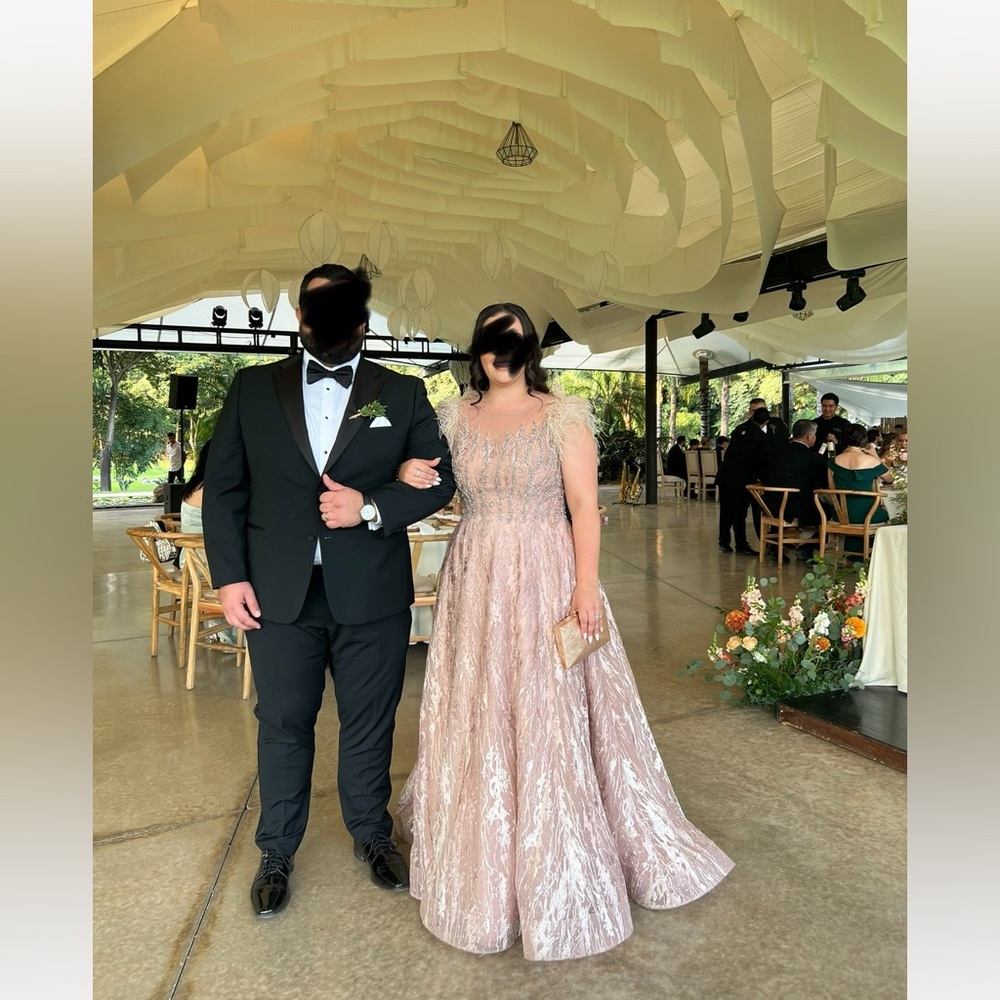 LARA Blush Ballgown with Feather Cap Sleeve